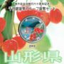 地方自治法施行60周年記念千円銀貨幣プルーフ　Aセット　山形県